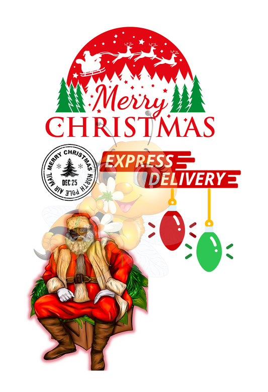 Santa Sacks Designs