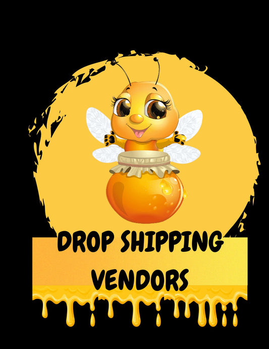 Dropshipping Vendors Video